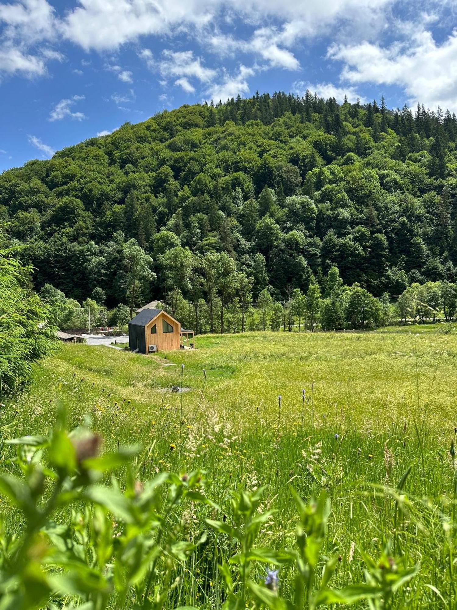 Vama Chalet วามา บูโซลุย ภายนอก รูปภาพ