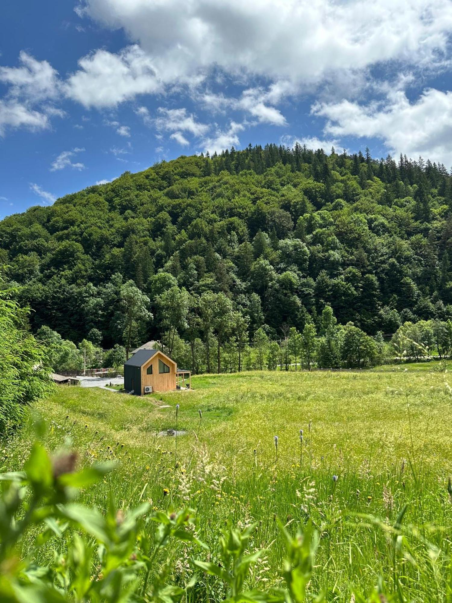 Vama Chalet วามา บูโซลุย ภายนอก รูปภาพ